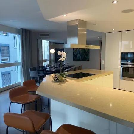 Luxury 250sqm With Ac & Parking Daire Zürih