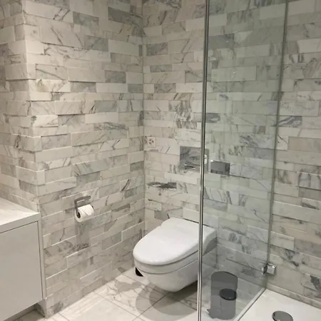 Luxury 250sqm With Ac & Parking Zurich